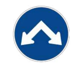 Paso vértice