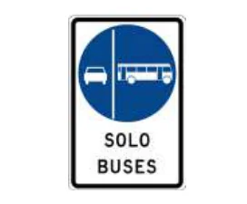Vía segregada buses