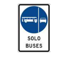 Vía segregada buses