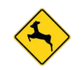Animales en la vía